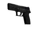 P250 | Dark Filigree (Well-Worn)