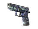 P250 | Digital Architect (Battle-Scarred)