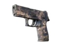 P250 | Безводье (После полевых испытаний)