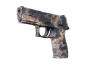P250 | Безводье (Немного поношенное)