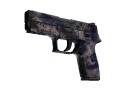 P250 | Drought (Well-Worn)