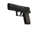 P250 | Exchanger (Battle-Scarred)