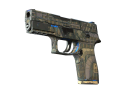 P250 | Exchanger (Well-Worn)