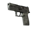 P250 | Грани (Закаленное в боях)