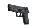 P250 | Facets (Field-Tested)