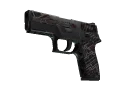 P250 | Facility Draft (Battle-Scarred)