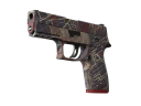 P250 | Facility Draft (Minimal Wear)