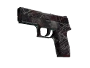 P250 | Facility Draft (Well-Worn)