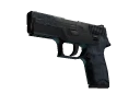 P250 | Forest Night (Battle-Scarred)