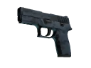 P250 | Forest Night (Minimal Wear)