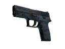 P250 | Forest Night (Well-Worn)