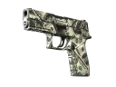 P250 | Франклин (Поношенное)