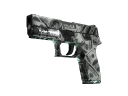 P250 | Franklin (Field-Tested)