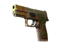 P250 | Инферно (Поношенное)