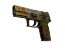 P250 | Inferno (Well-Worn)