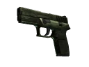 P250 | Iron Clad (Well-Worn)