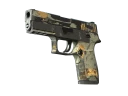 P250 | Современный охотник (Закаленное в боях)