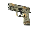 P250 | Современный охотник (Поношенное)