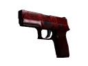 P250 | Muertos (Battle-Scarred)