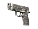 P250 | Ре.конструкция (Прямо с завода)
