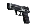 P250 | Ре.конструкция (После полевых испытаний)