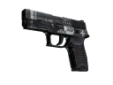 P250 | Re.built (Battle-Scarred)