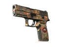 P250 | Red Rock (Battle-Scarred)