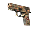 P250 | Красный камень (После полевых испытаний)