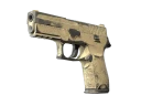 P250 | Sand Dune (Battle-Scarred)