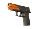 P250 | Splash (Factory New)