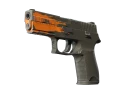 P250 | Пятно (После полевых испытаний)