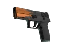 P250 | Splash (Factory New)