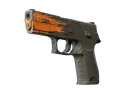 P250 | Splash (Field-Tested)