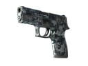 P250 | Ржавая сталь (После полевых испытаний)
