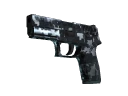 P250 | Steel Disruption (Minimal Wear)