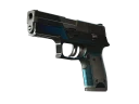 P250 | Валентность (Закаленное в боях)