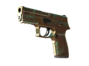 P250 | Ярь-медянка (Немного поношенное)