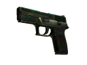 P250 | Verdigris (Battle-Scarred)