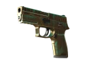 P250 | Verdigris (Well-Worn)