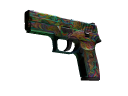 P250 | Visions (Battle-Scarred)