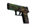 P250 | Visions (Battle-Scarred)