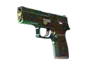 P250 | Visions (Well-Worn)