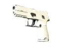 P250 | Whiteout (Well-Worn)