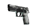 P250 | Whiteout (Battle-Scarred)