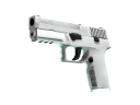 P250 | Whiteout (Minimal Wear)