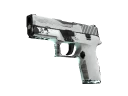 P250 | Whiteout (Well-Worn)