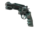 R8 Revolver | Canal Spray (Battle-Scarred)