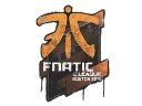 Sealed Graffiti | Fnatic | Boston 2018