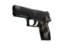 Souvenir P250 | Black & Tan (Battle-Scarred)