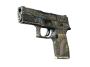 Сувенирный P250 | Обменник (После полевых испытаний)
